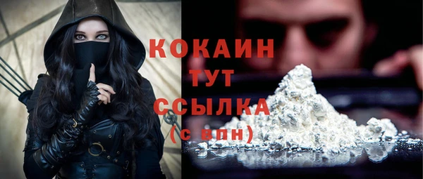 твердый Ижевск