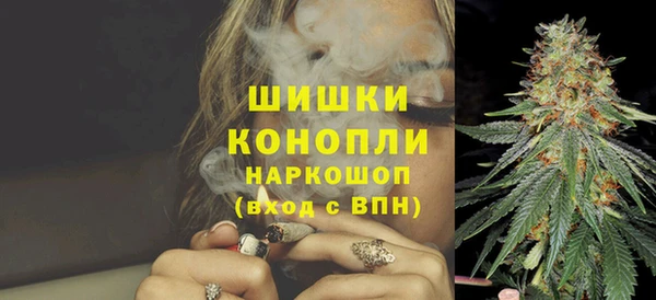 гашик Тольятти